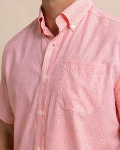 Southern Tide Brrr° Intercoastal What The Shell Short Sleeve Sport Shirt Conch Shell Online